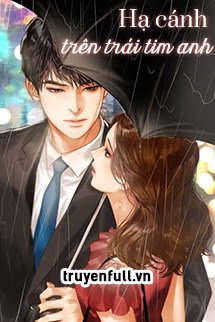 Bìa Hạ Cánh Trên Trái Tim Anh